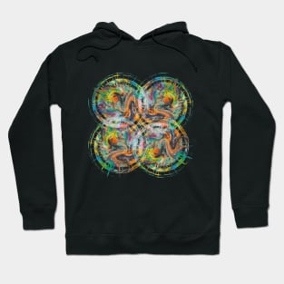 Colorful balls Hoodie